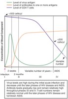 Graph of HIV infection progression and immune response