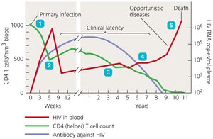 Graph of HIV/AIDS progression and clinical stages