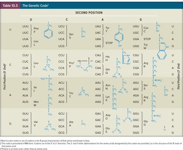 Table of the genetic code