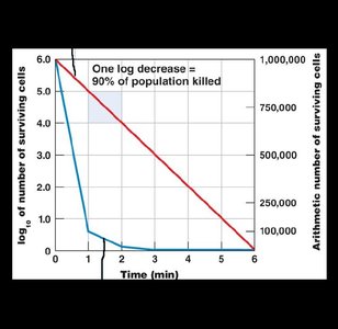 Microbial death curve in log scale
