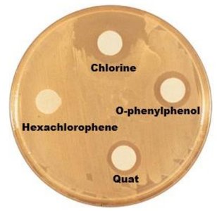 Disk-diffusion test for antimicrobial agents