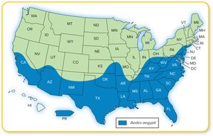 Estimated range of Aedes aegypti mosquito in the U.S.