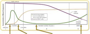 Progression of HIV infection and AIDS