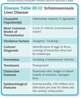 Schistosomiasis epidemiology table