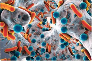 Microscopic view of bacteria and biofilm