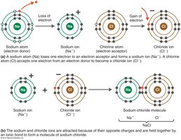 Covalent bonding in hydrogen and methane