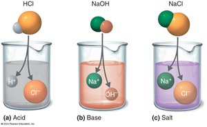 Acids, bases, and salts in solution