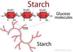 Atomic structure of phosphorus and sulfur