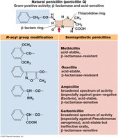 Structure of selected penicillins
