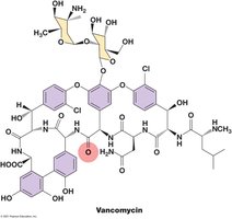 Structure of vancomycin and modification to restore activity
