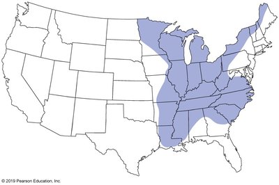 Endemic regions of blastomycosis in the US
