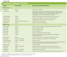 Families of human viruses table