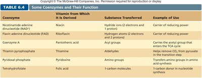 Table of coenzymes, their vitamin sources, and functions
