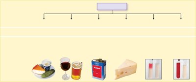 Diagram of fermentation pathways and products