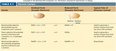 Table of electron carriers and their properties