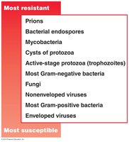 Relative susceptibilities of microbes to antimicrobial agents