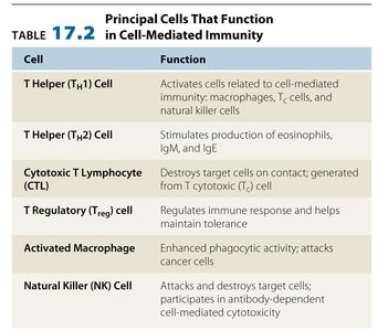 Table of principal cells in cell-mediated immunity