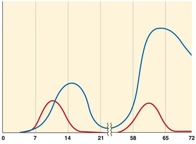 Primary and secondary immune responses to an antigen