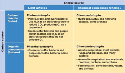 Nutritional classification of microorganisms