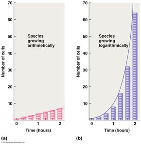 Arithmetic vs. logarithmic growth