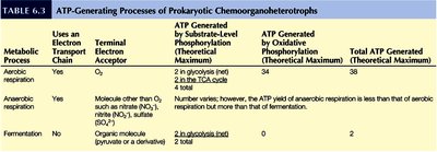 ATP-generating processes table