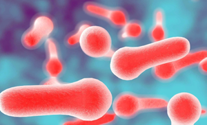 The Bubonic Plague