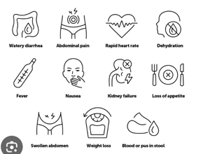 Peptic ulcers caused by H. pylori