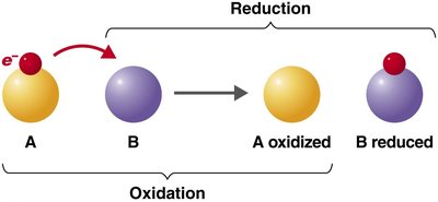 Oxidation-reduction reactions