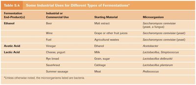Types of fermentation table