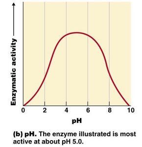 Effect of pH on enzyme activity