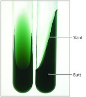 Slant tubes with solid media