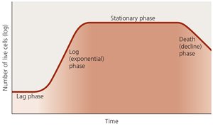 Population growth curve