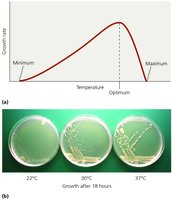 Temperature effects on microbial growth