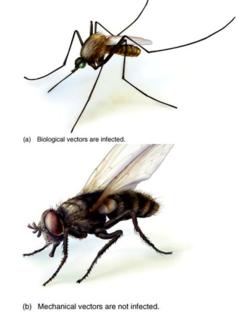 Diagram of antigenic drift in viruses