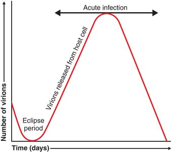 One-step viral growth curve