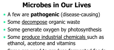 Industrial and medical uses of microbes