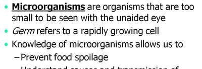 Definition and importance of microorganisms