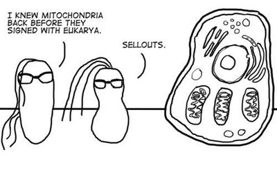 Cartoon about mitochondria and eukaryotes