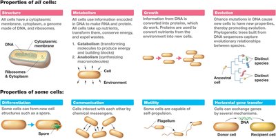 Properties of all cells and some cells