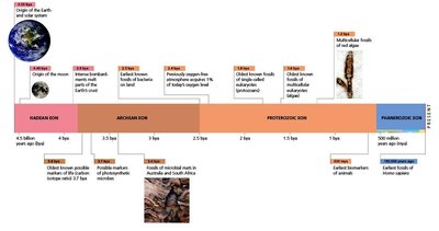 Timeline of Earth's history and major evolutionary events