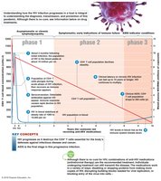 Progression of HIV infection
