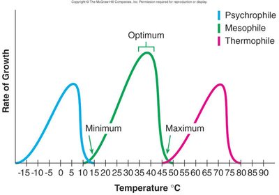 Growth rate vs temperature for psychrophiles, mesophiles, and thermophiles