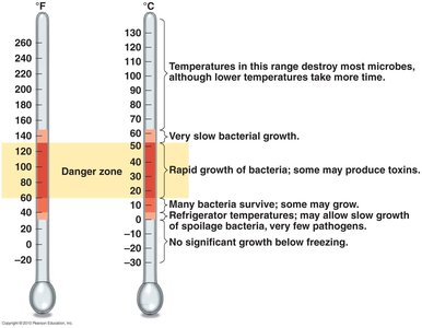 Temperature ranges and bacterial growth
