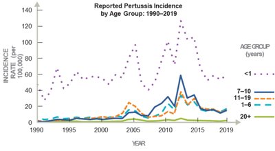 Graph of pertussis incidence by age group