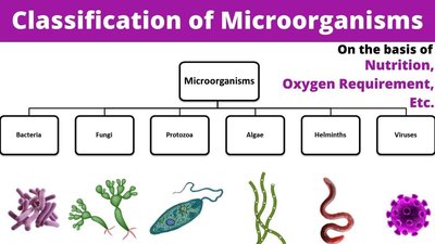 Archaea and domains of life
