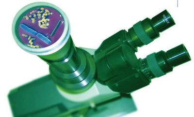 Microscope with microbial images