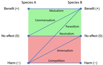 Table of symbiotic relationships