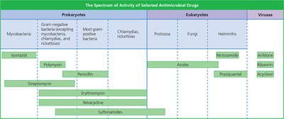 Table showing the spectrum of activity of selected antimicrobial drugs against prokaryotes, eukaryotes, and viruses