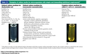 Table comparing defined and complex media for E. coli and L. mesenteroides