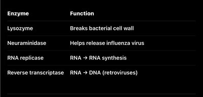 Table of viral enzymes and their functions